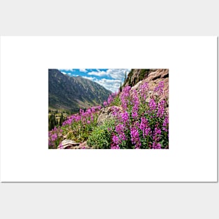 Fireweed Posters and Art